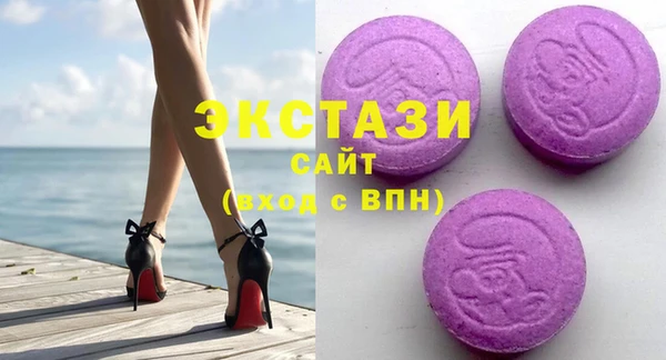индика Надым