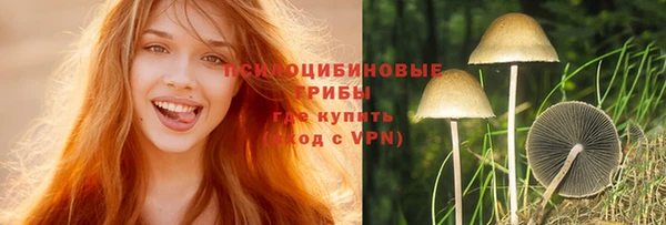 мяу мяу мука Михайловск