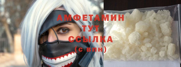 индика Надым