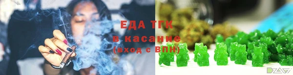 индика Надым