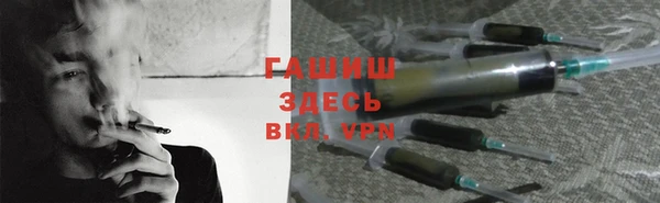 индика Надым