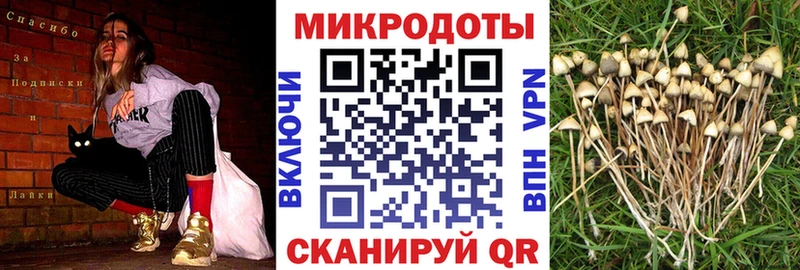 Галлюциногенные грибы прущие грибы  кракен   Кущёвская 